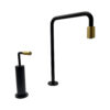 Elite Lux Black Gold Basin Mixer