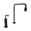 Elite Lux Black Basin Mixer